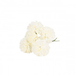 6 Hortensias Ivoire et Vert sur Tige 10c